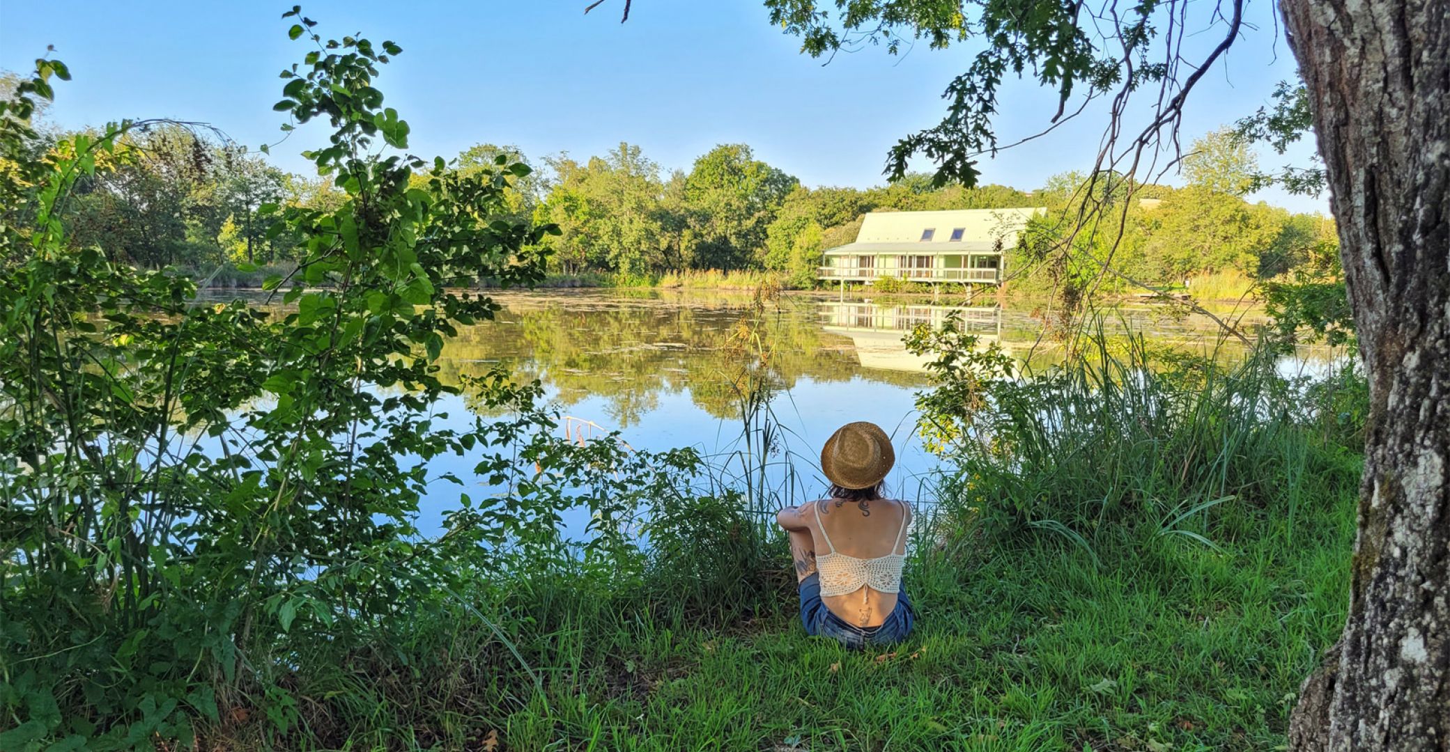 Les Tourbières de Vendoire Nature reserve
